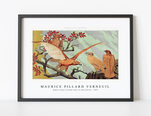 Maurice Pillard Verneuil