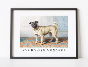 Conradijn Cunaeus