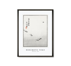 Morimoto Toko