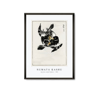 Numata Kashu - Japanese Jungle Nightjar illustration from Pictorial Monograph of Birds (1885)