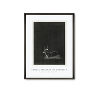 Samuel Jessurun De Mesquita - Waterbuck (Waterbok) (1921)