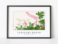Tanigami Konan - Vintage marguriete flower