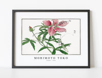 Morimoto Toko - Flower illustration from Churui Gafu (1910)