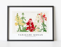 Tanigami Konan - Vintage antirrhinum flower