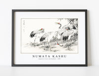 Numata Kashu - Japanese Crane and Bamboo illustration from Pictorial Monograph of Birds (1885)