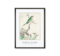 Numata Kashu - Ruby Throat and Wild Camomile illustration from Pictorial Monograph of Birds (1885)