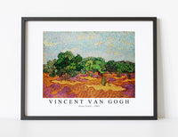 Vincent Van Gogh - Olive Trees 1889