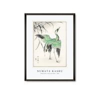 Numata Kashu - Demoiselle crane and Reed illustration from Pictorial Monograph of Birds (1885)