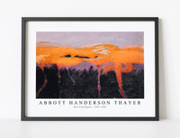 abbott handerson thayer - Red Flamingoes-1905-1909