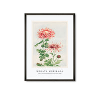 Megata Morikaga - Kiku (chrysanthemum) during 1870–1880