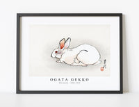 Ogata Gekko - Wit konijn (1900–1910)