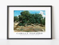 Camille Pissarro - Fontainebleau Oak Trees at Bas-Bréau 1832-1833