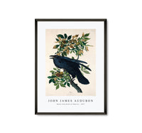 John James Audubon - Raven from Birds of America (1827)