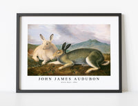 John James Audubon - Arctic Hare (ca. 1841)