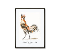 Johan Teyler - A Cock (2)