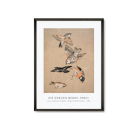 Sir Edward Burne Jones - Love leading the Pilgrim - Study of Birds Finches (1897)