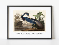 John James Audubon - Louisiana Heron from Birds of America (1827)