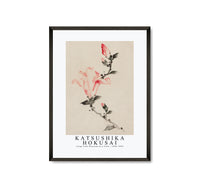 Katsushika Hokusai - Large Pink Blossom on a Stem with Three Additional Buds 1830-1850