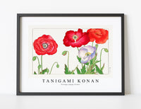 Tanigami Konan - Vintage poppy flower