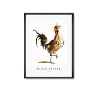 Johan Teyler - A Cock (3)