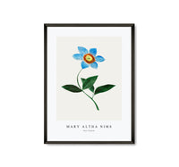 Mary Altha Nims - Star Flower