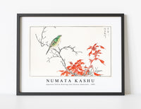 Numata Kashu - Japanese Yellow Bunting and Chinese Amaranth illustration from Pictorial Monograph of Birds (1885)