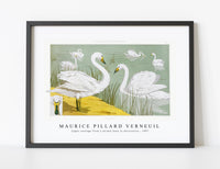 Maurice Pillard Verneuil - Cygne sauvage from L'animal dans la décoration (1897) illustrated