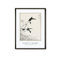 Numata Kashu - Tufted-Teal and Reed Flower illustration from Pictorial Monograph of Birds (1885)