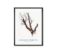 Charles demuth - Sketchbook - 1921-1935