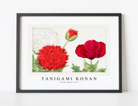 Tanigami Konan - Vintage poppy flower