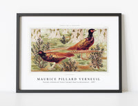 Maurice Pillard Verneuil - Faisans ordinaires from L'animal dans la décoration (1897)