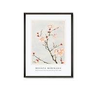 Megata Morikaga - Plum branches with blossoms during 1870–1880