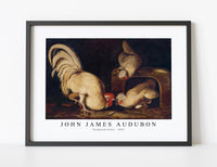 John James Audubon - Farmyard Fowls (ca. 1827)