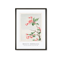 Megata Morikaga - Kaido pyrus spectabalis during 1870–1880