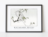 Watanabe Seitei - White cockatoo perched on a branch. Illustration 1890-1891