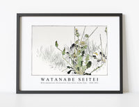 Watanabe Seitei - Wild dandelions illustration from Seitei Kacho Gafu 1890-1891