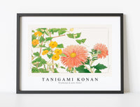 Tanigami Konan - Thunbergia & aster flower