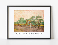 Vincent Van Gogh - Women Picking Olives 1889