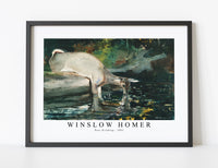 winslow homer - Deer Drinking-1892