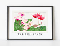 Tanigami Konan - Syclamen