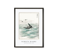 Numata Kashu - Riu Kiu House Swallow illustration from Pictorial Monograph of Birds (1885)