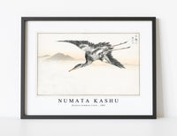 Numata Kashu - Eastern Common Crane illustration from Pictorial Monograph of Birds (1885)