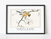 Numata Kashu - Tibetan Hoopoe and Osmanthus Fragrans illustration from Pictorial Monograph of Birds (1885)