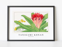 Tanigami Konan - Ananas flower