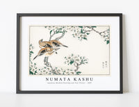 Numata Kashu - Japanese Meadow Bunting and Pear Flower illustration from Pictorial Monograph of Birds (1885)