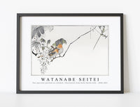 Watanabe Seitei - Two sparrows perched on a branch. Illustration from Seitei Kacho Gafu 1890-1891