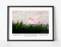 abbott handerson thayer - Roseate Spoonbill-1905-1909