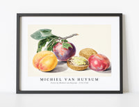 Michiel Van Huysum - Fruits by Michiel van Huysum (1714-1760)