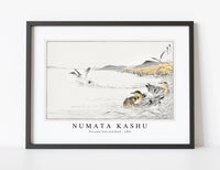 Numata Kashu - Falcated Teal and Reed illustration from Pictorial Monograph of Birds (1885)