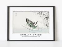 Numata Kashu - Spectacled Teal and Snow-bent Bamboo illustration from Pictorial Monograph of Birds (1885)